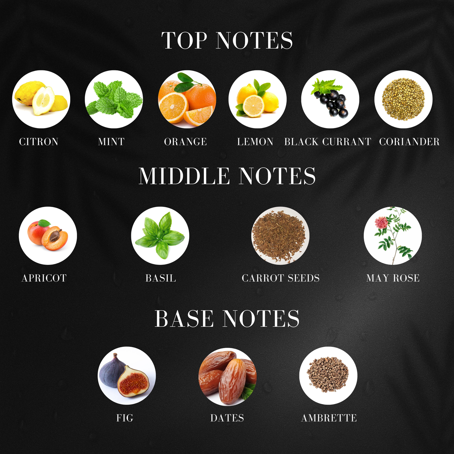 Beach Vibe | Inspired by Lo*is Vui*ton Pacific Chill | Roll-on (Attar) With 100% Oil Concentration (Non Alcohol)