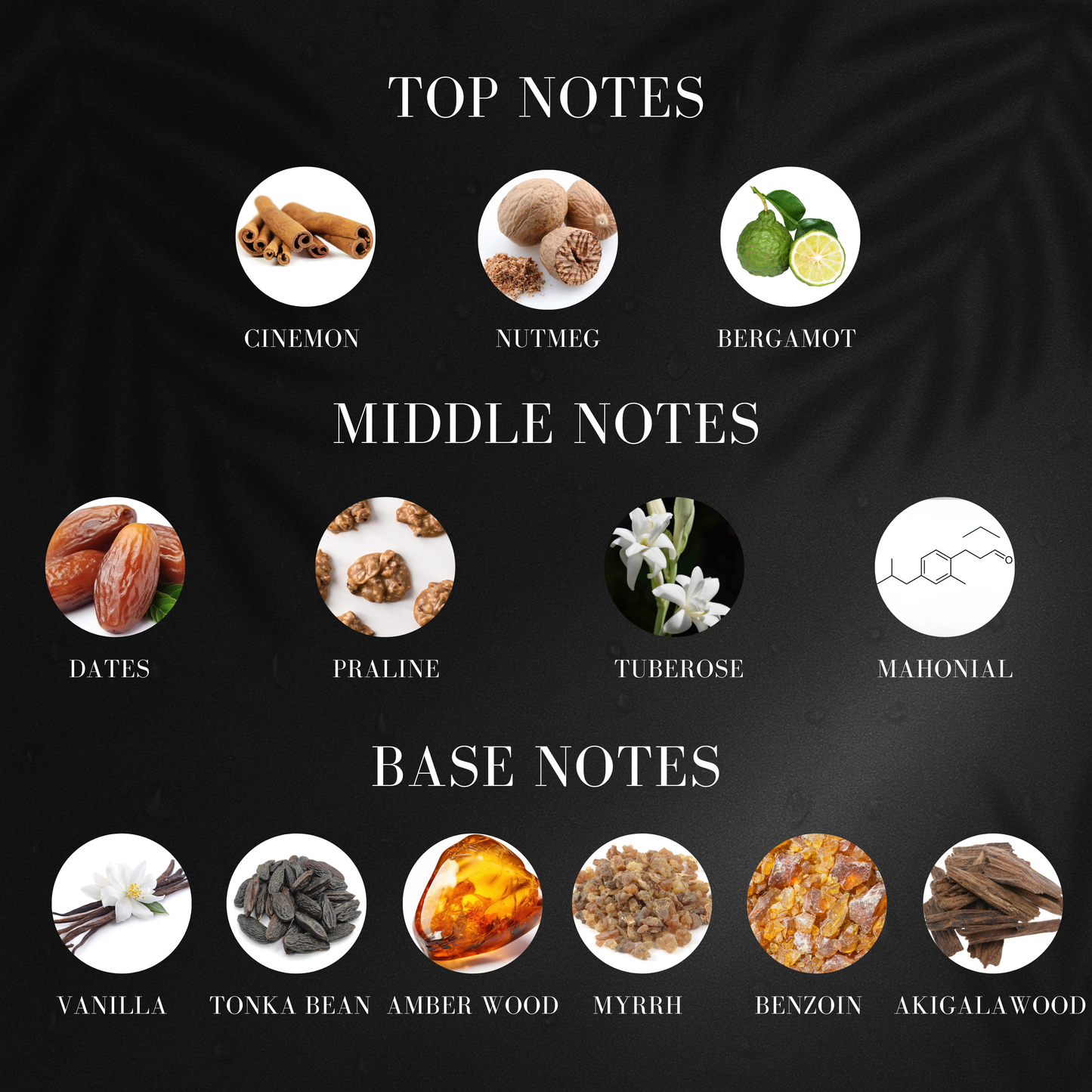 Vanilla Coffee | Inspired by La*tafa Kh*mrah Perfume