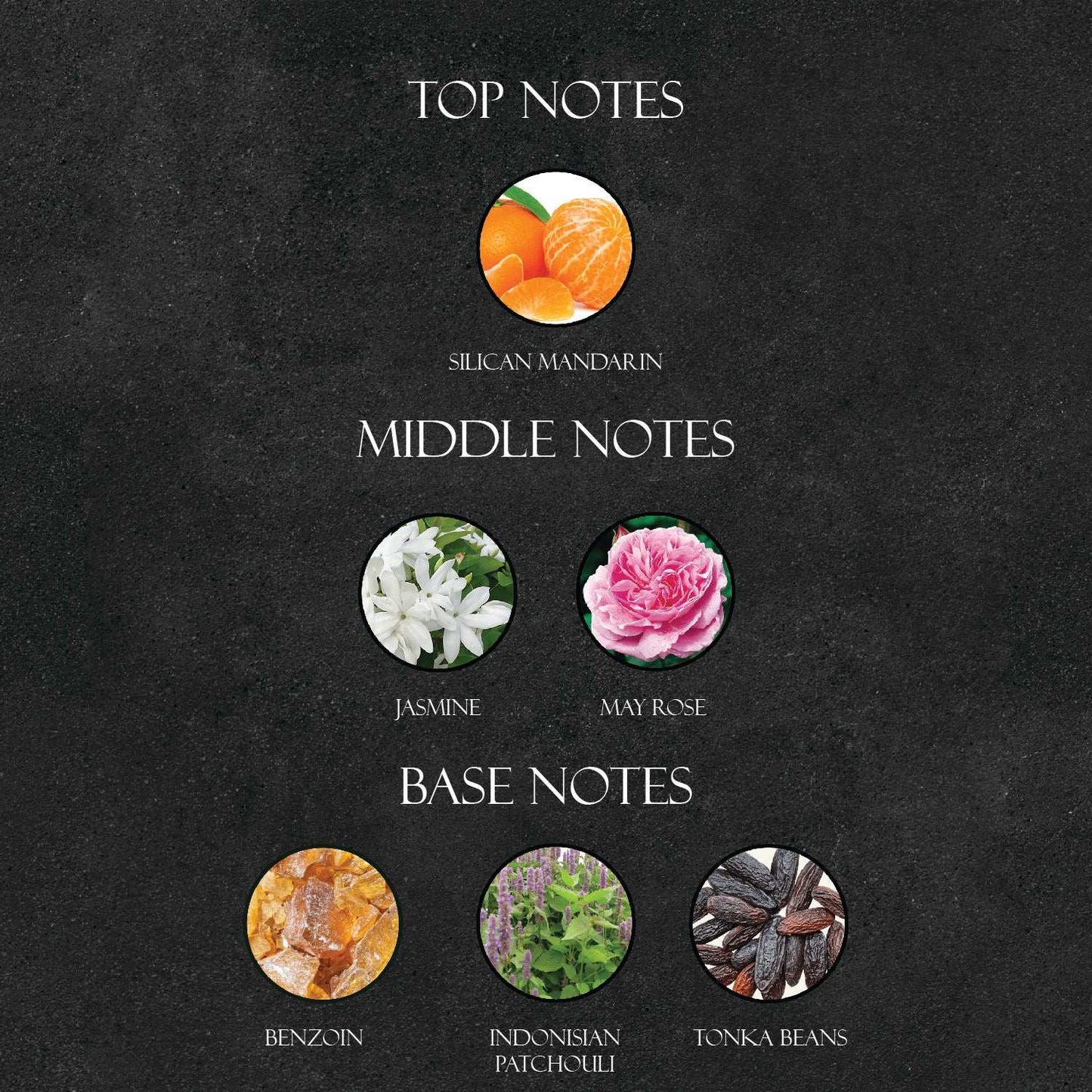 Cha*el Coco Perfume - Super X Perfume