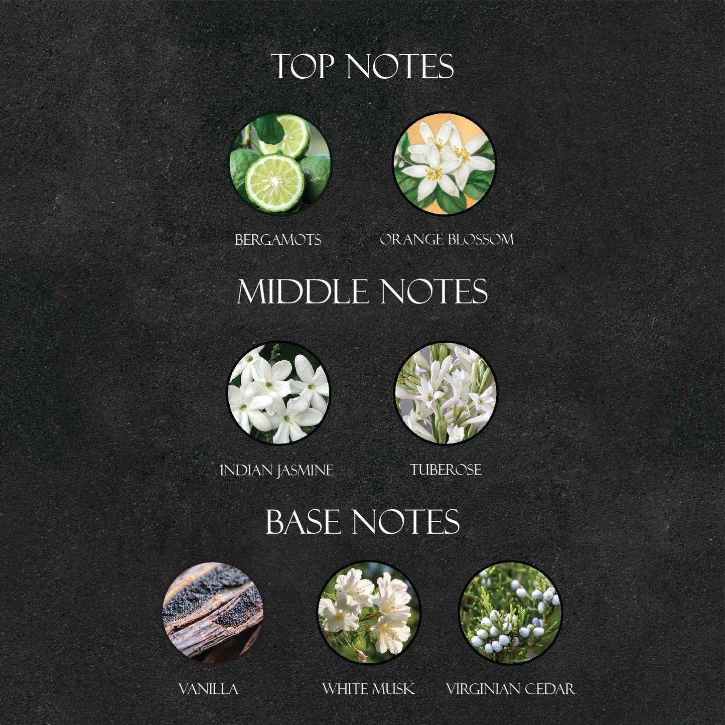 Gi*rgio Arm*ni My Way Perfume - Super X Perfume