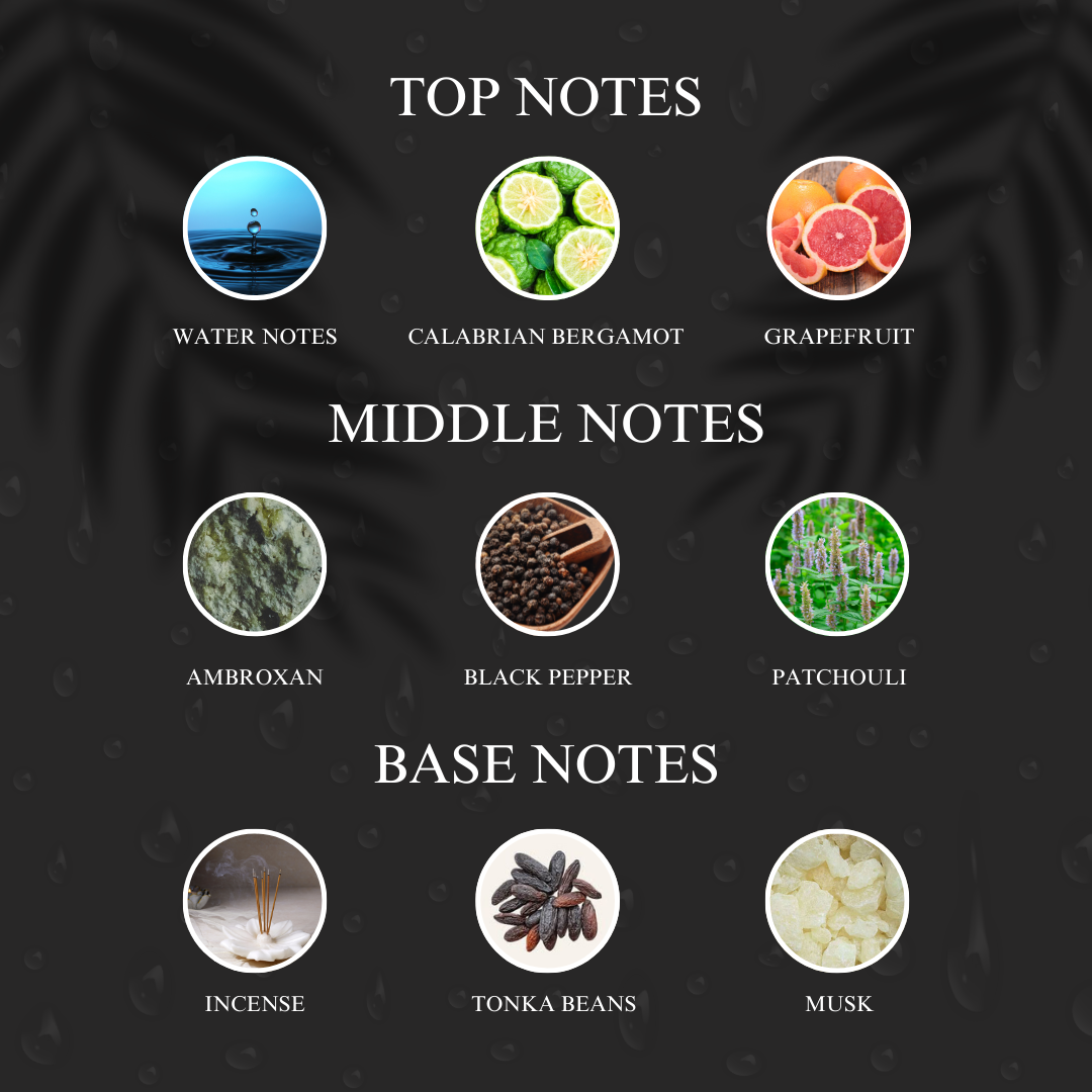 Blue Vibe | Inspired by Ver*ace Dylan Blue Perfume