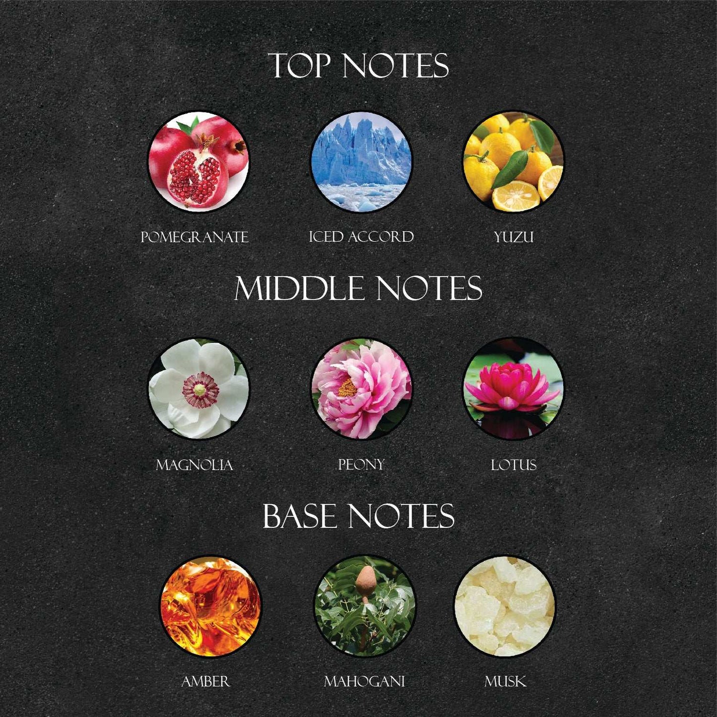 Ver*ace Bright Crystal Perfume - Super X Perfume