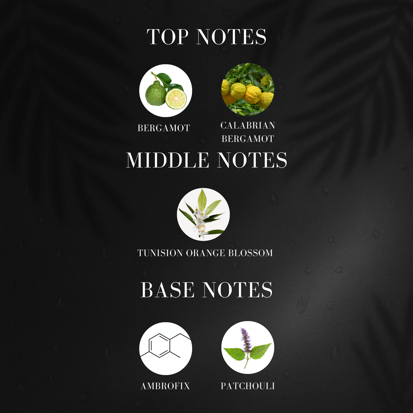 Me Myself | Inspired by Y*L Y Myself Perfume