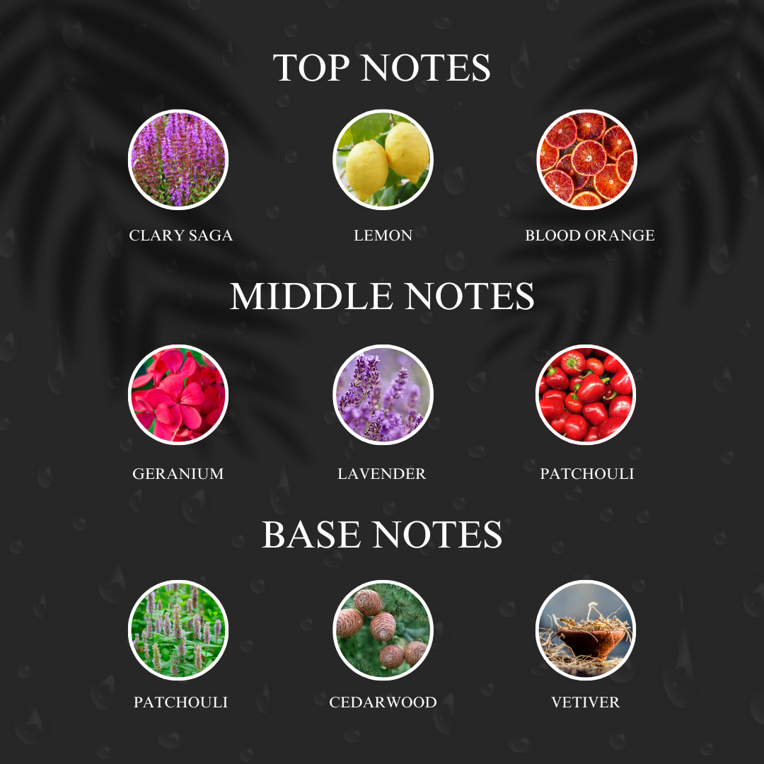 King | Inspired by D*G The King | Roll-on (Attar) With 100% Oil Concentration (Non Alcohol)