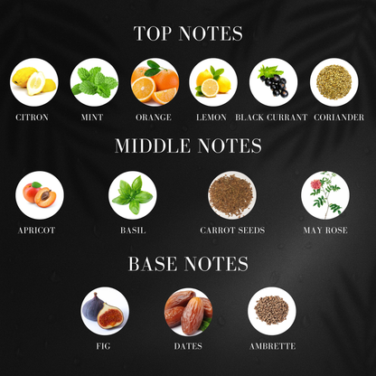 Beach Vibe | Inspired by Lo*is Vui*ton Pacific Chill | Roll-on (Attar) With 100% Oil Concentration (Non Alcohol)