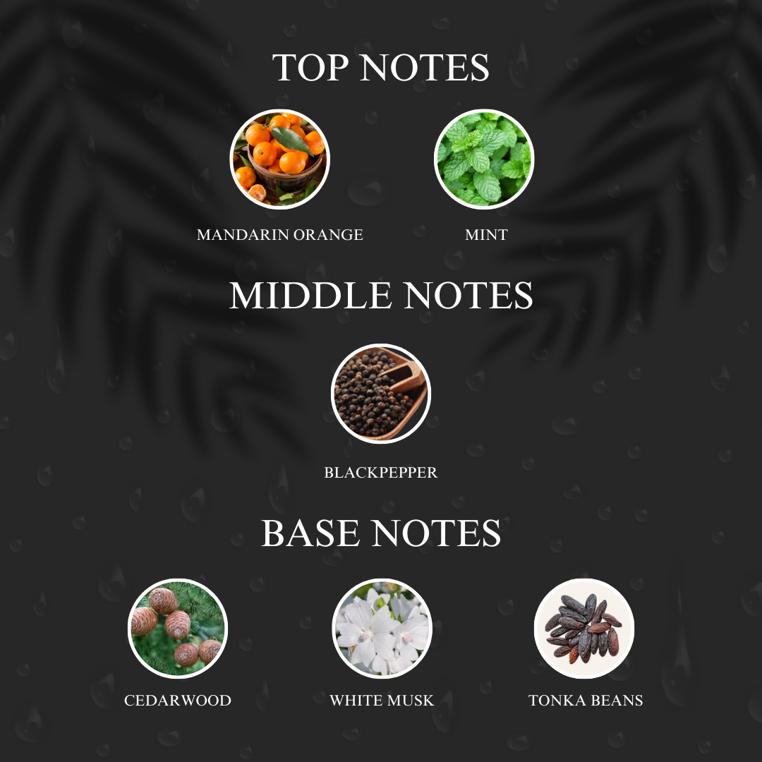 Ar Acqua | Inspired by Gi*rgio Arm*ni Acqua Di Gio | Roll-on (Attar) With 100% Oil Concentration (Non Alcohol)