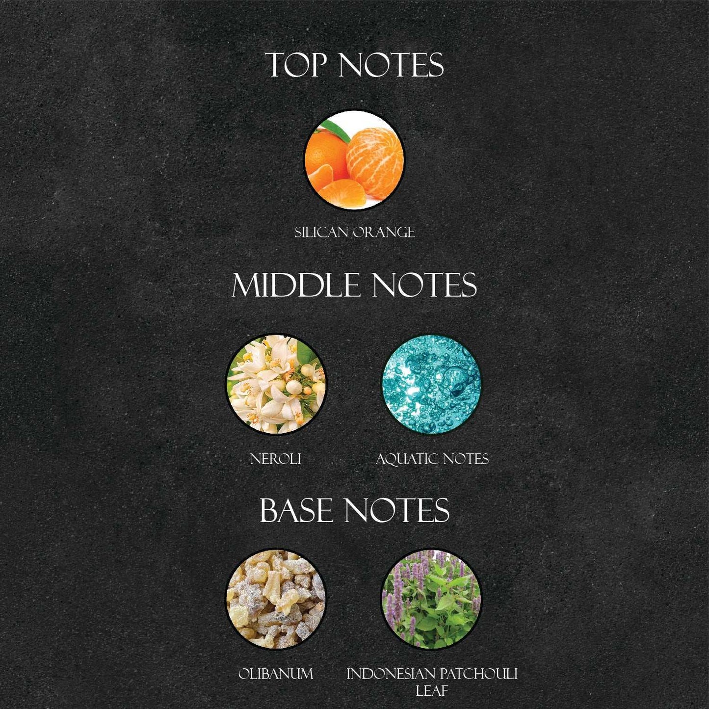 B*lgari Aqva Amara Perfume - Super X Perfume