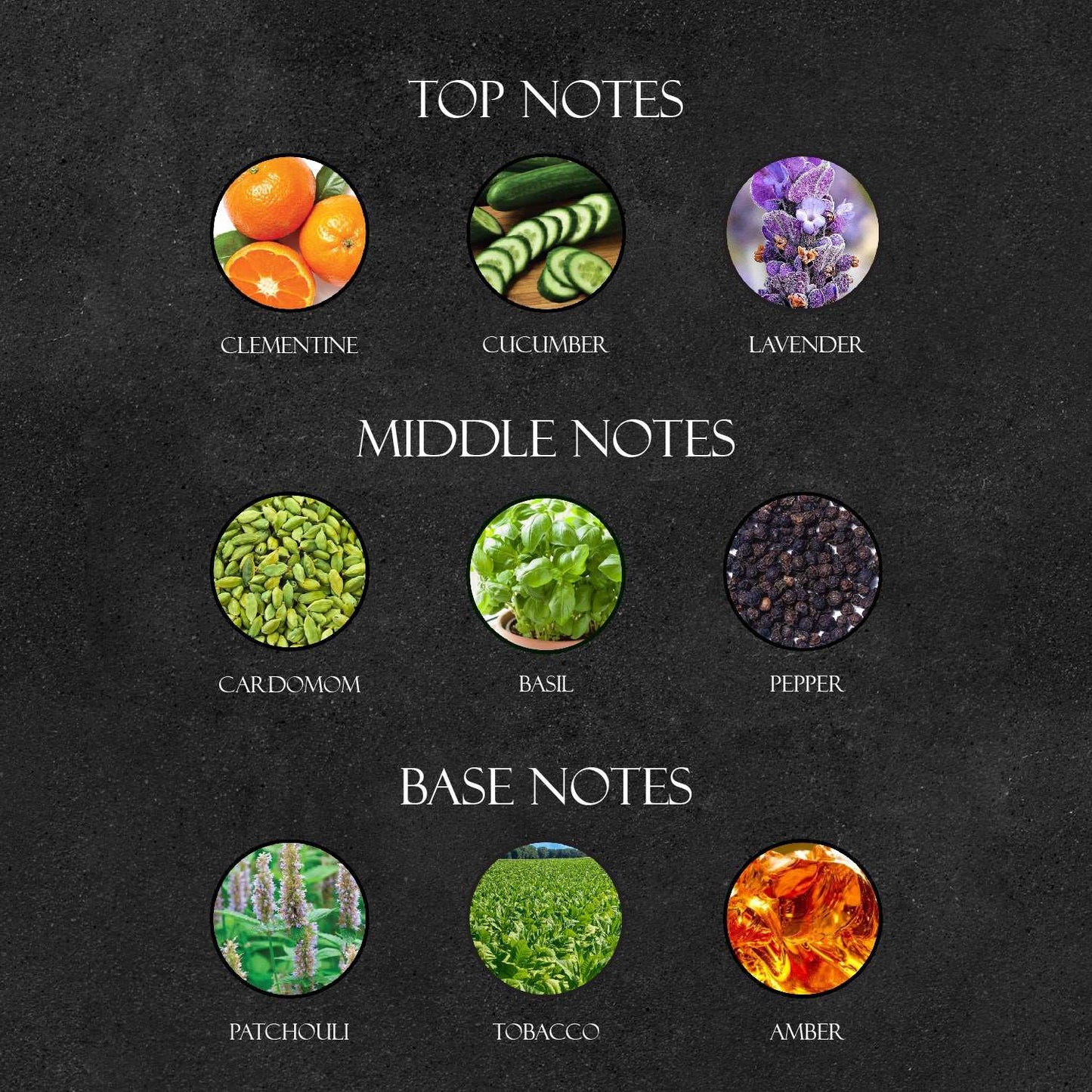 Cal*in Kl*in One Shock For Him Perfume - Super X Perfume