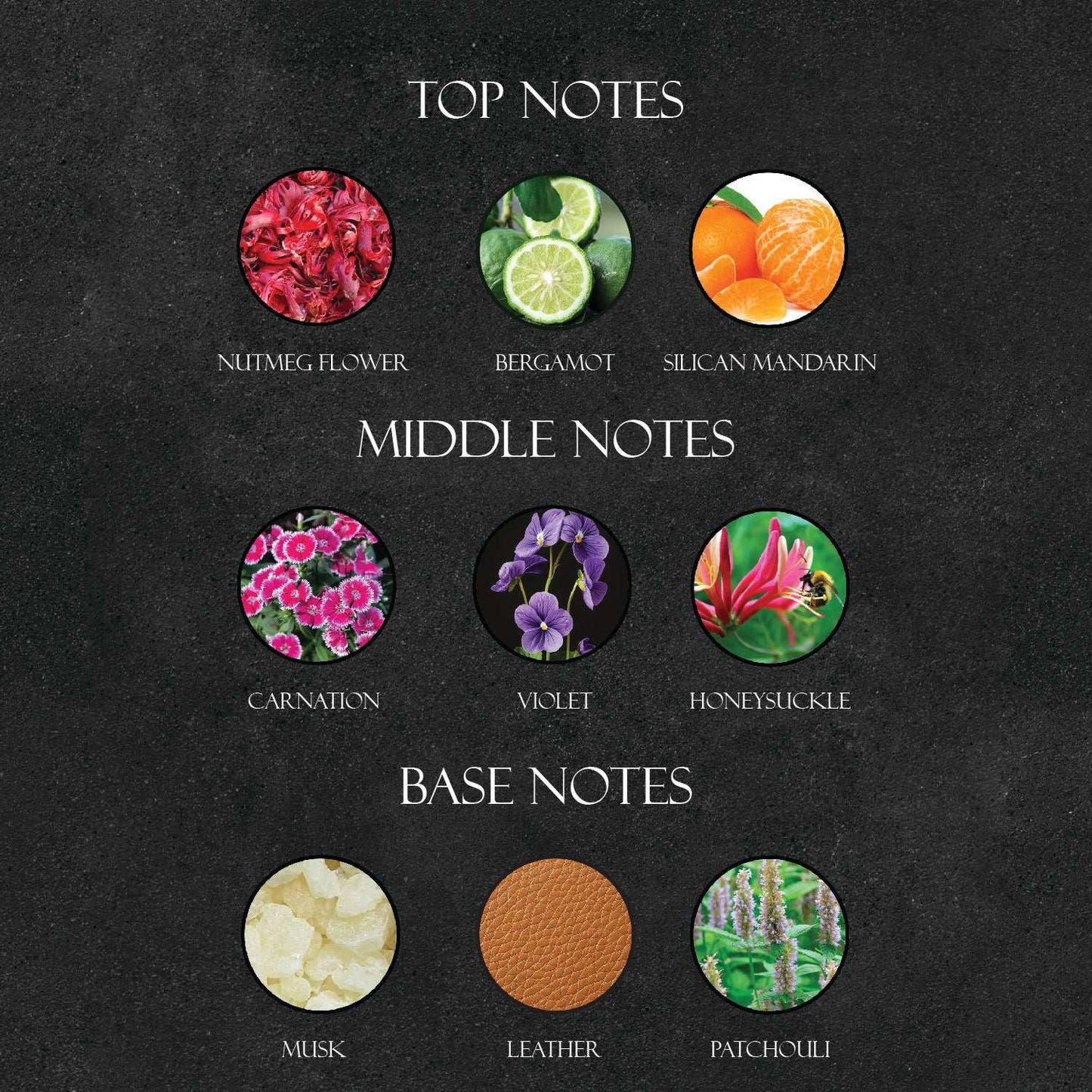 D*or Farenheit Perfume - Super X Perfume