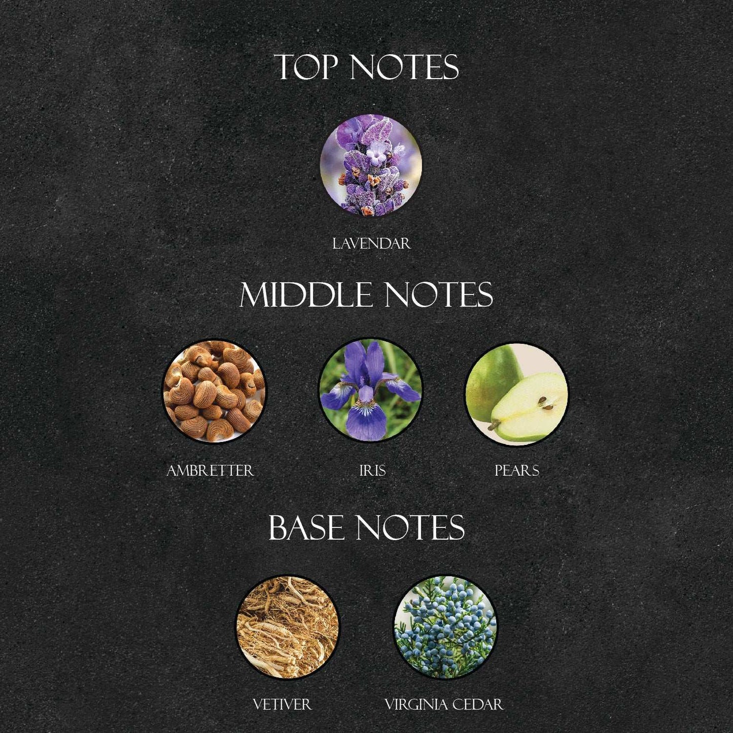 D*or Homme Intense Perfume - Super X Perfume