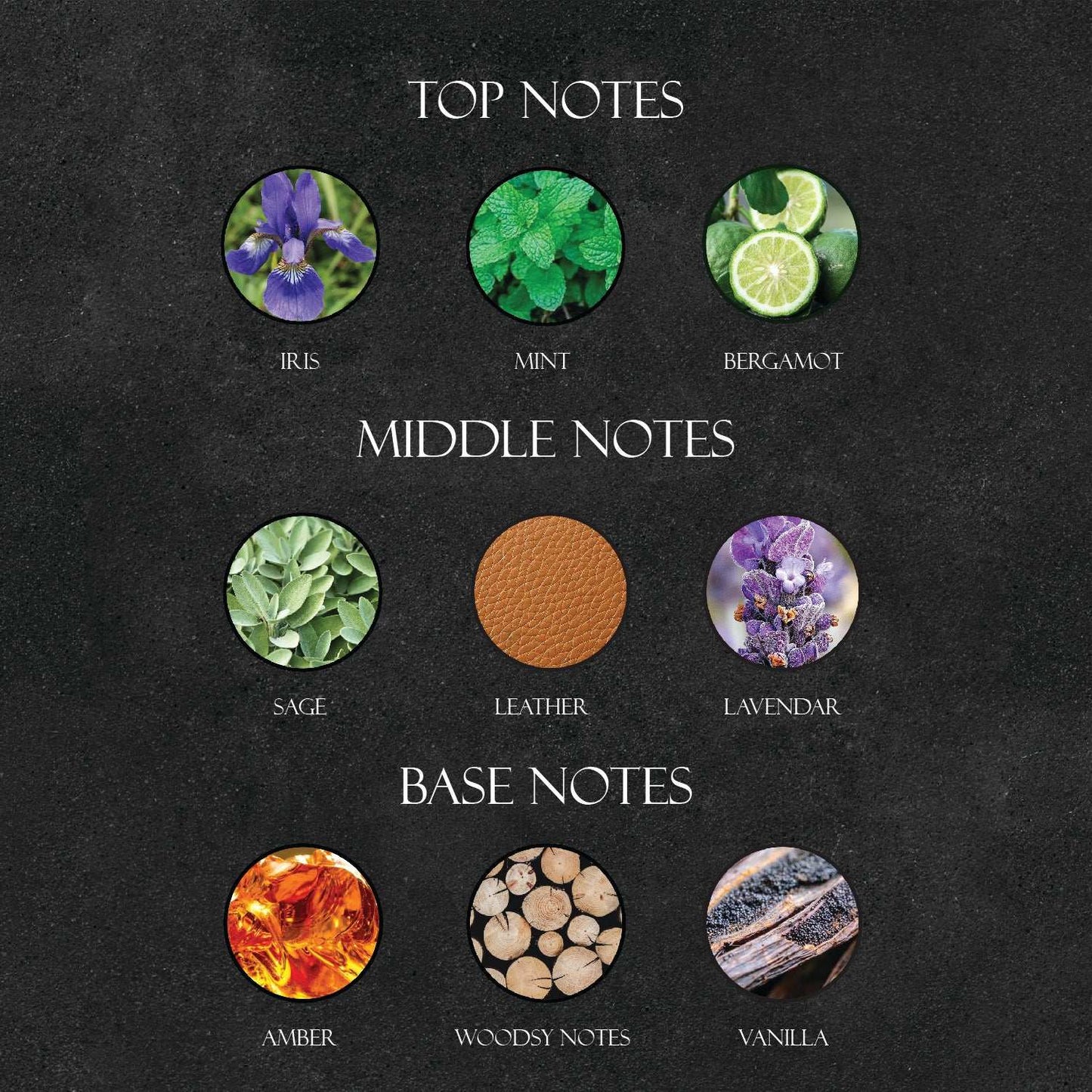 J*G Le Male Elixir Perfume - Super X Perfume