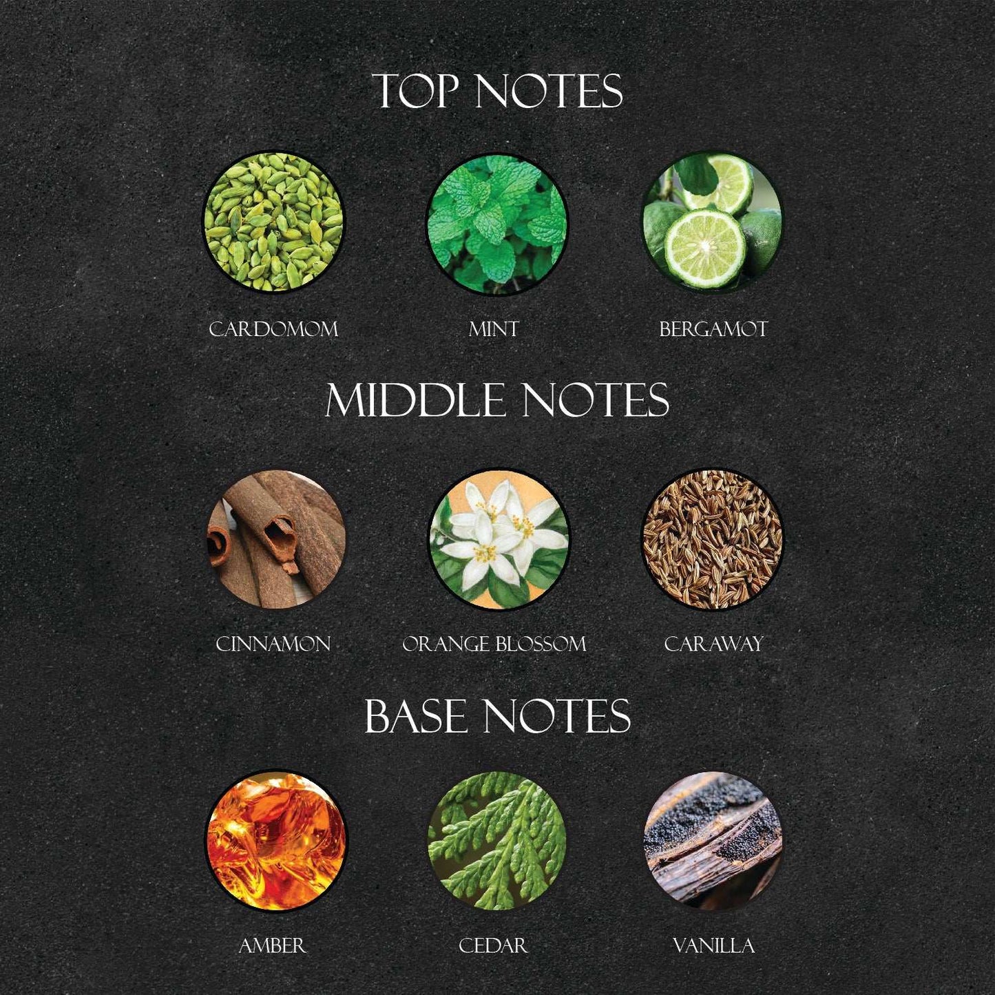 J*G Le Male Perfume - Super X Perfume