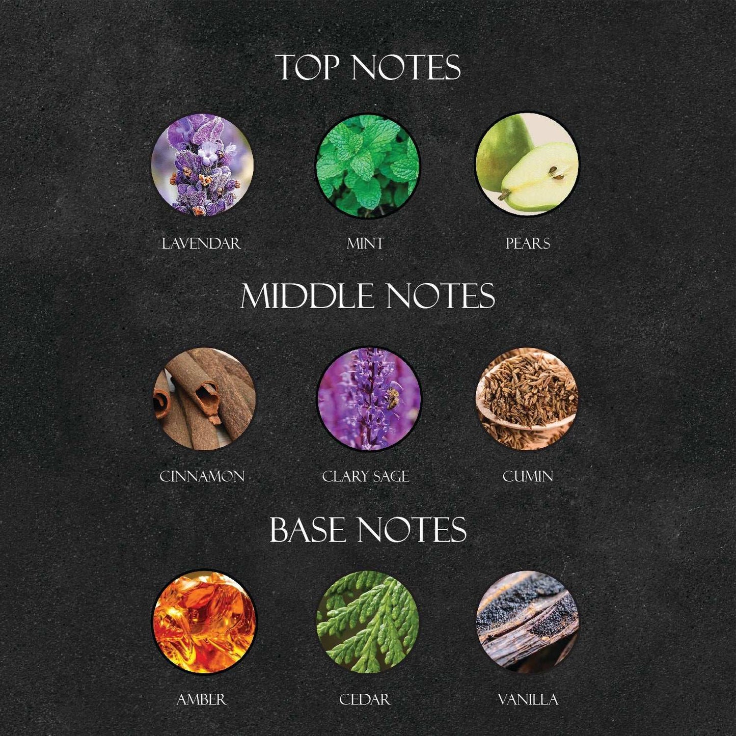 J*G Le Male Ultra Perfume - Super X Perfume