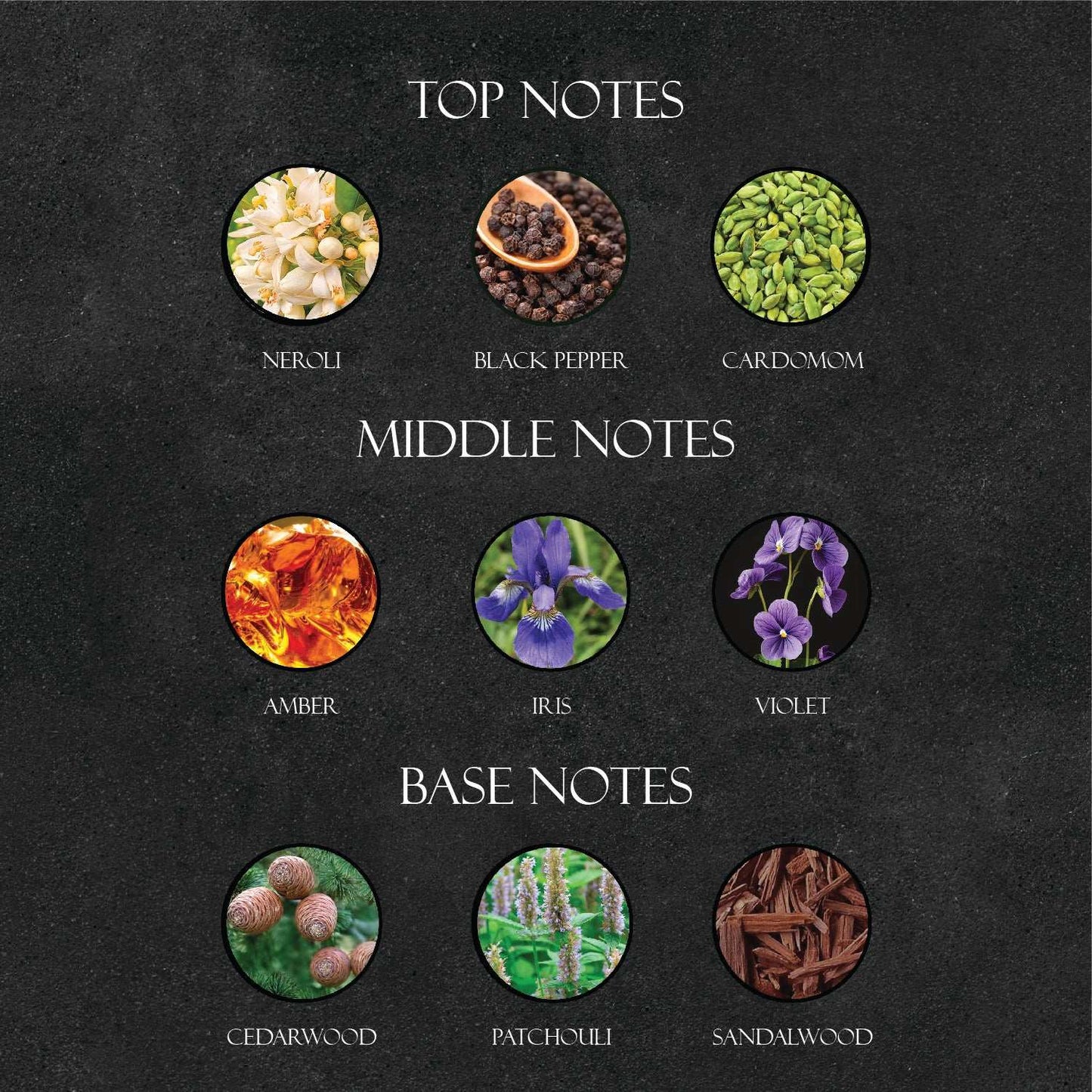 Pr*da L Homme Perfume - Super X Perfume