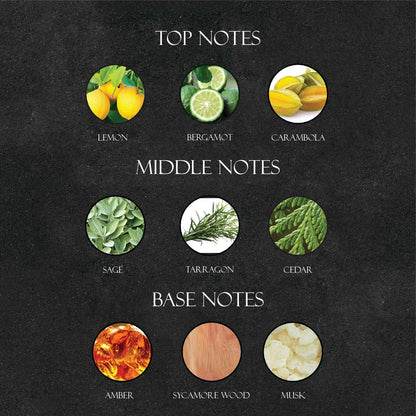 Ver*ace Fraiche Perfume - Super X Perfume