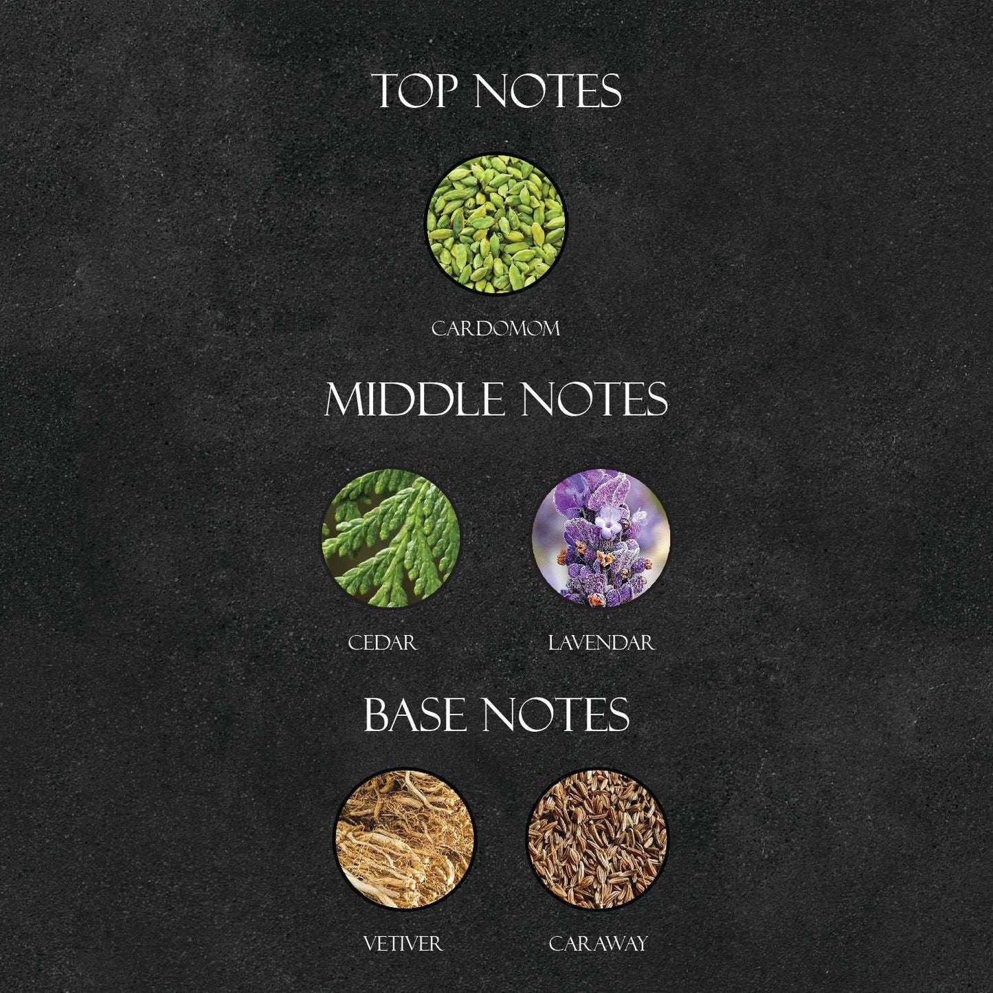 Y*L La Nuit De L'Homme Perfume - Super X Perfume