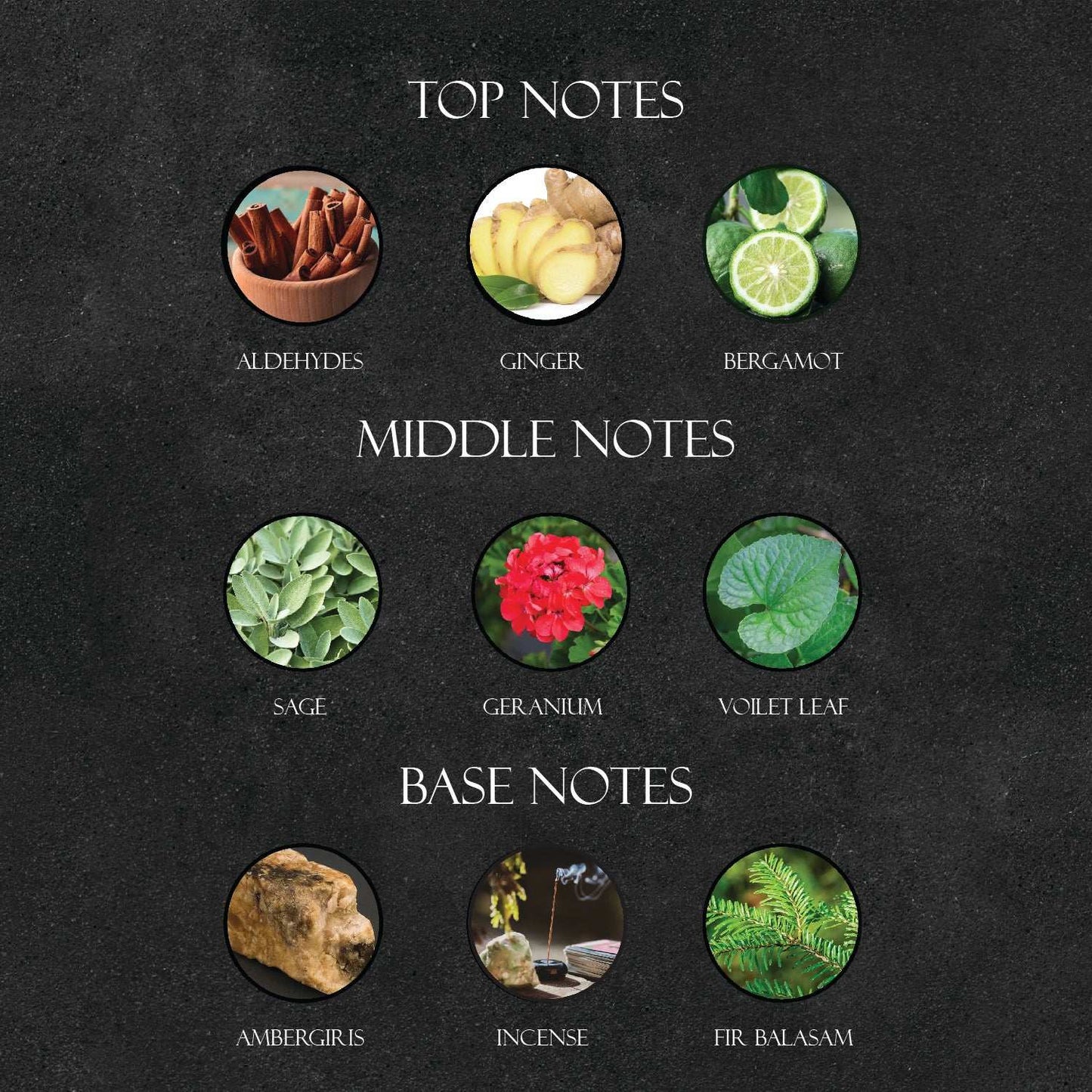 Y*L Y Perfume - Super X Perfume