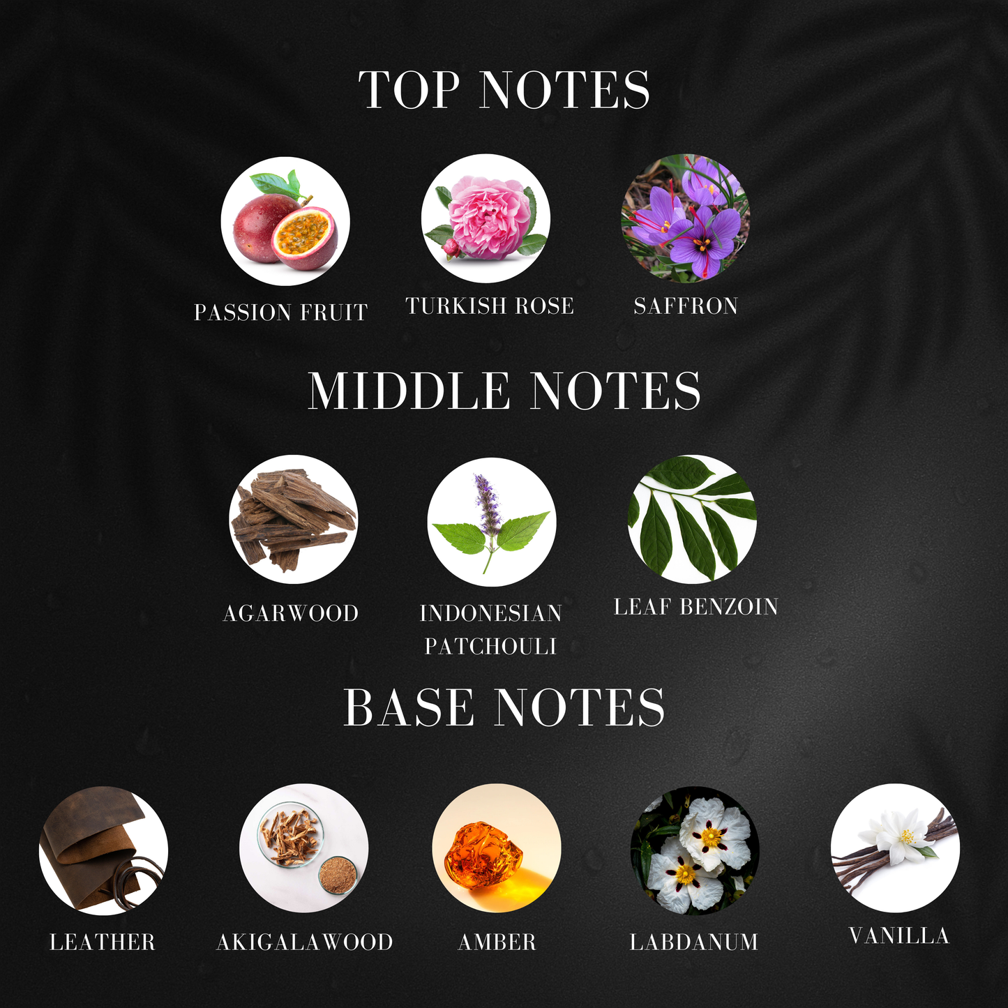 Fruity Oud | Inspired by Mais*n Crivelli Oud Maracuja Perfume