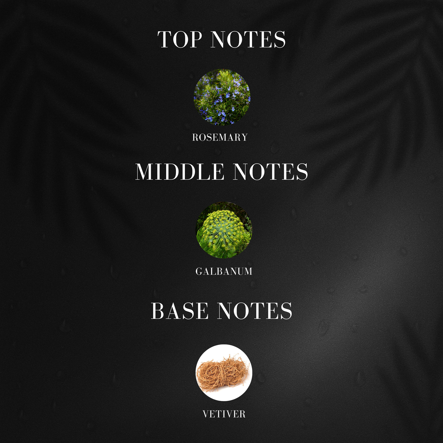 Cold Reborn | Inspired by Davi*off Cool Water Reborn Perfume